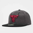 NBA Chicago Bulls 2Tone Logo 110 Flat Snap