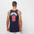 Authentic Jersey NBA Scottie Pippen Team USA