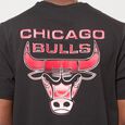 NBA Holographic Tee Chicago Bulls 