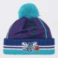 Charlotte Hornets Knit With Pom