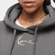 Small Signature Essential Oversized Hoodie 